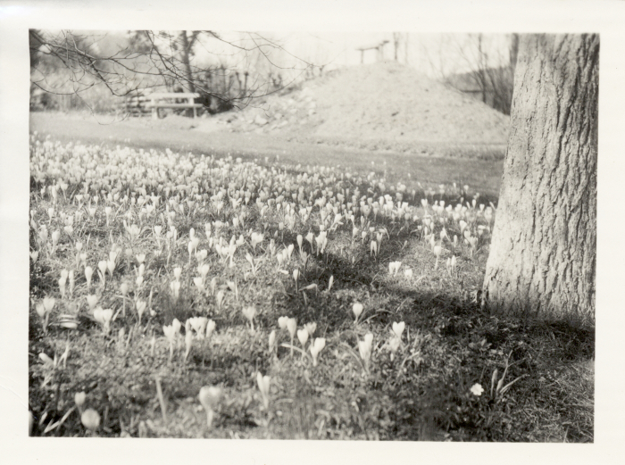 plaatje binnen post of signature