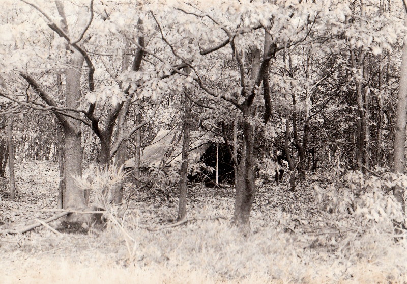 plaatje binnen post of signature